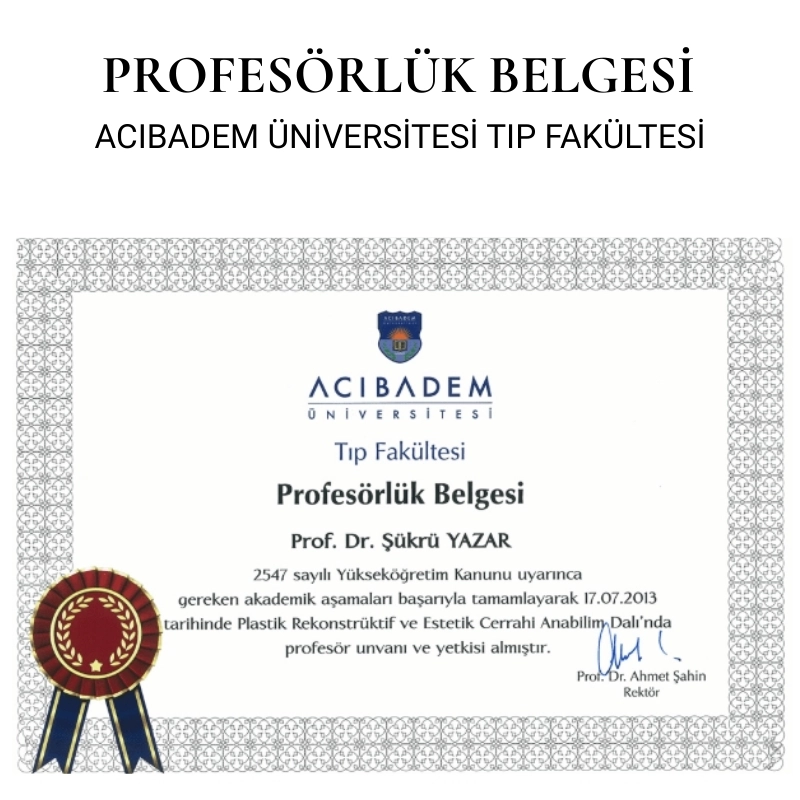 Profesörlük Belgesi