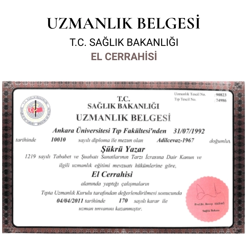 Uzmanlık Belgesi