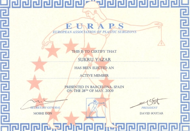 europas-europan-sukru-yazar