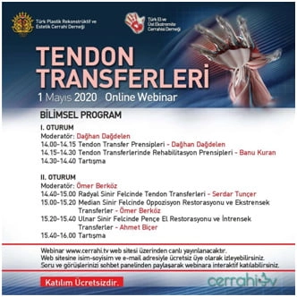 Tendon Transferleri