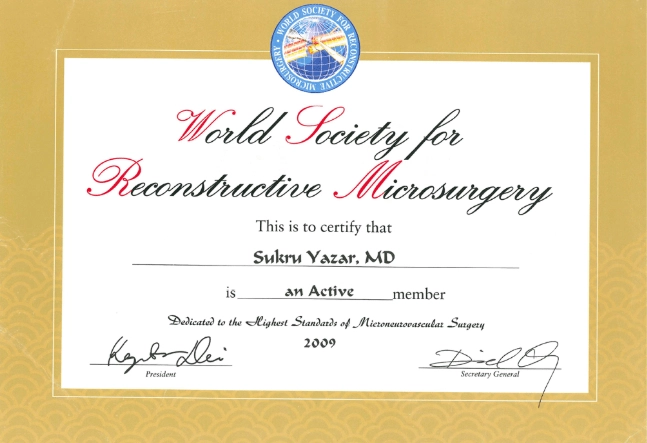 world-society-sukru-yazar